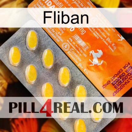 Fliban new05